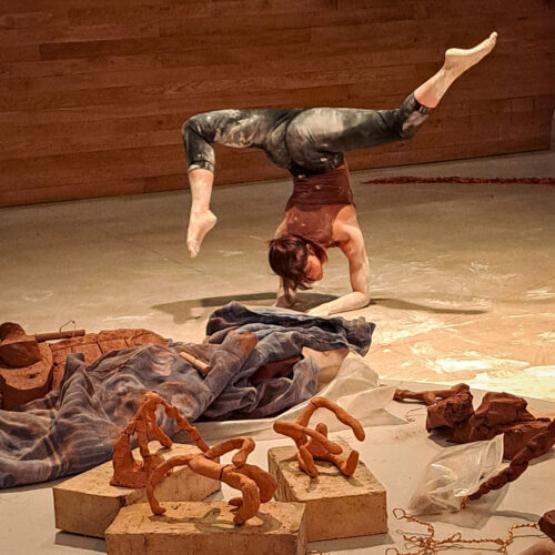Compagnie DYSPERCÉE